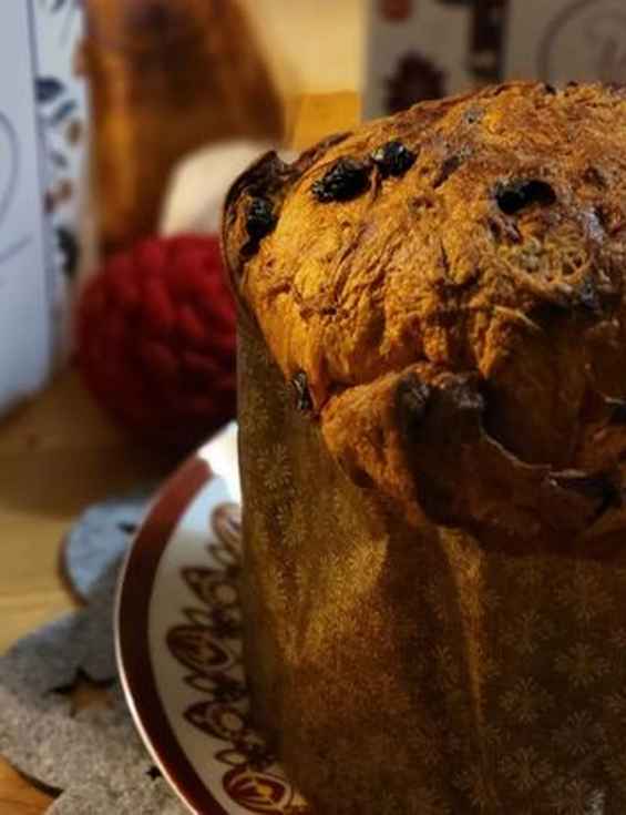 Panettone klassik
