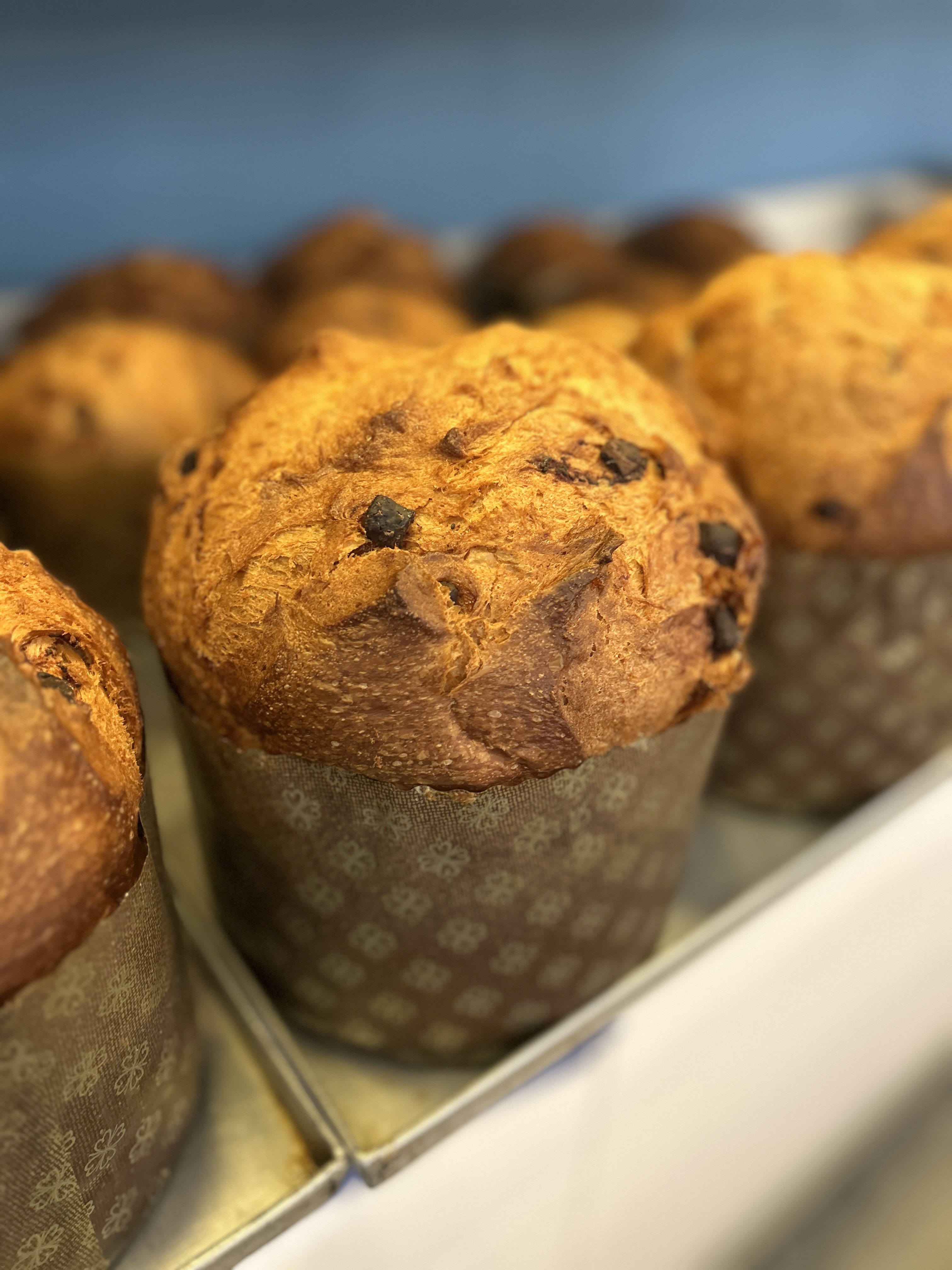 Panettone reservieren, Weihnachten retten!